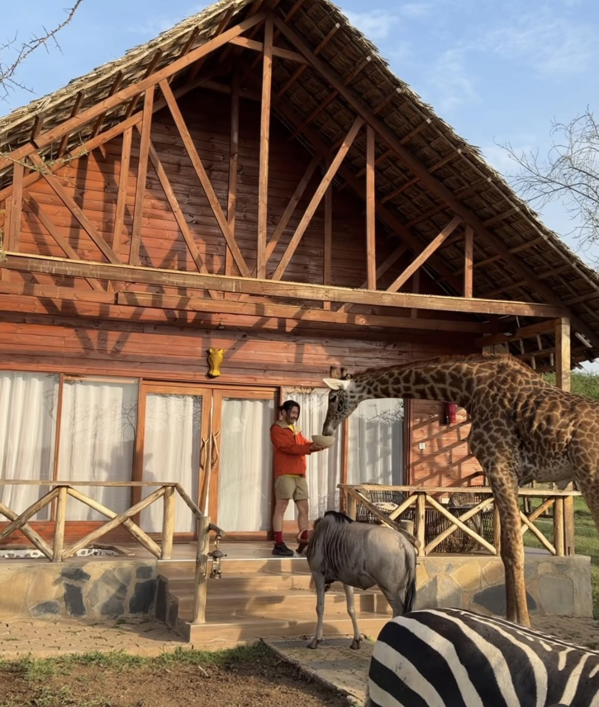 "AI 아니고 진짜" 노홍철, 사자와 걷고 기린 밥 먹이고..믿기 힘든 근황