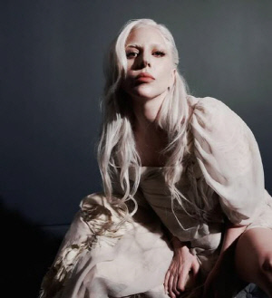 레이디 가가, 콘서트 중 美 이민단속 비판…