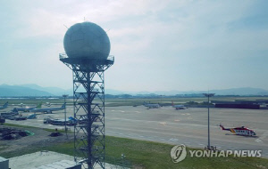 공짜 여행 대가는 '징역 11년'…마약 운반한 외국인 남성 모델들