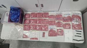 SNS로 마약류 대량 밀수·유통…태국인 총책 등 21명 검거