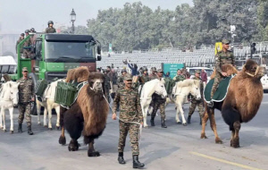 낙타부터 솔개까지…군 열병식에 등장한 '동물 병사'들 화제