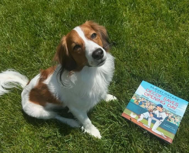 대체 못하는 게 뭐야…이도류도 만족 못하는 '엄친아' 오타니, 이번엔 동…