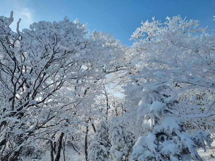 "손이 꽁, 발이 꽁" 찬바람에도 청춘…'설원'에 남긴 발자국의 추억 가득 '평창'