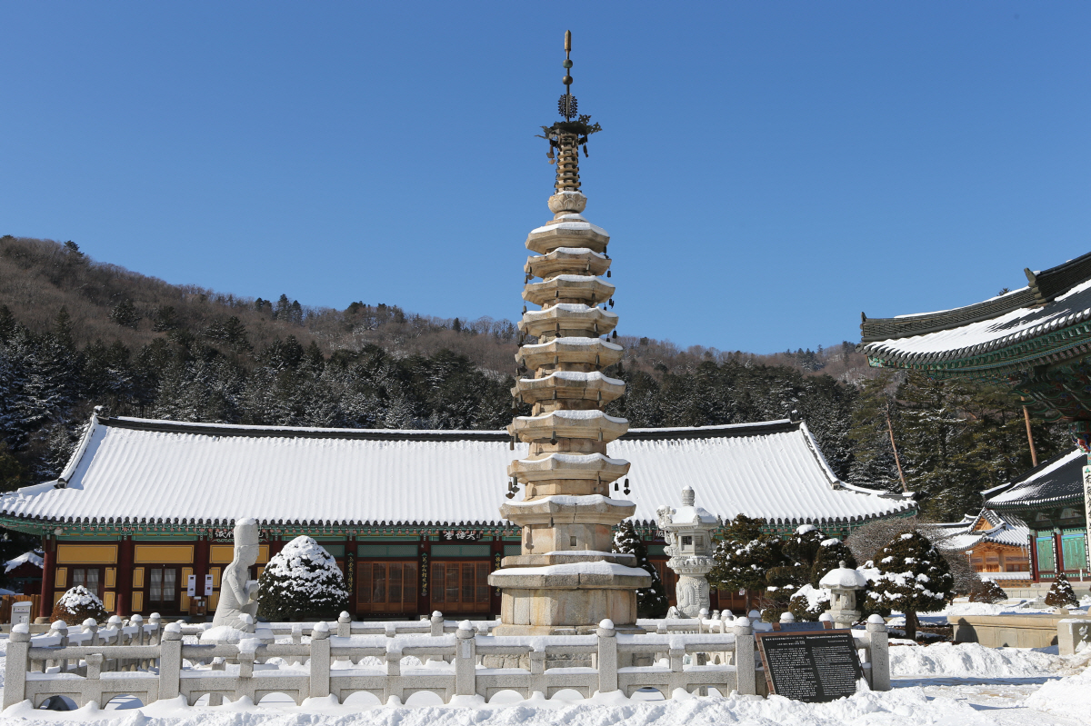 "손이 꽁, 발이 꽁" 찬바람에도 청춘…'설원'에 남긴 발자국의 추억 가…