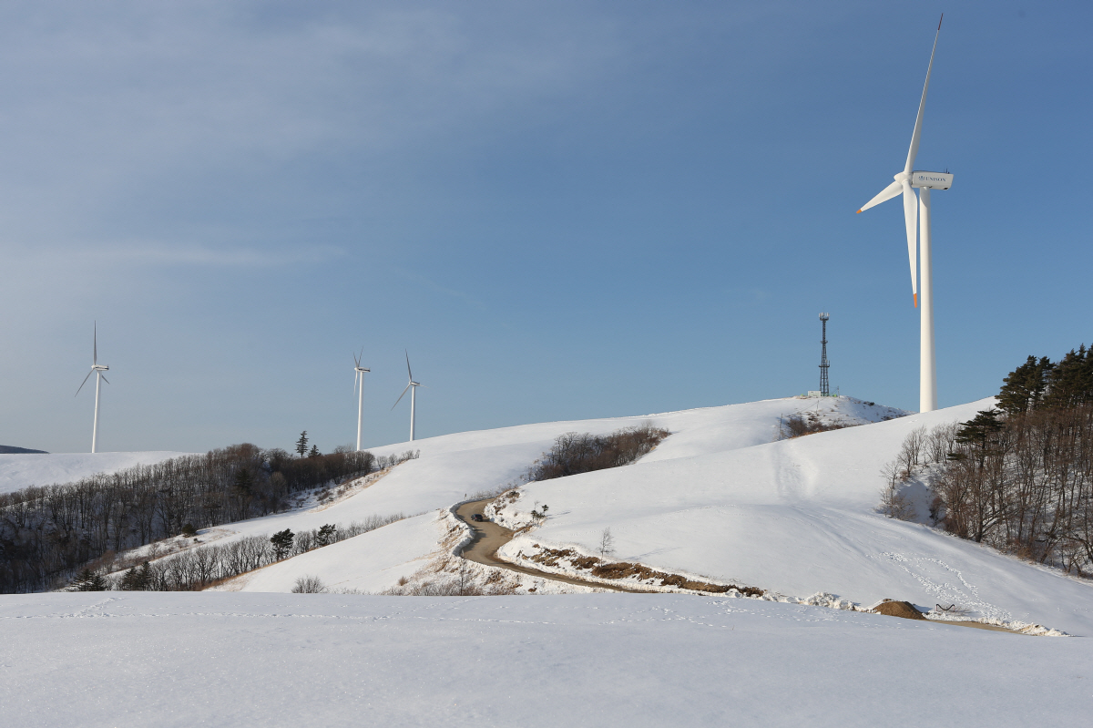 "손이 꽁, 발이 꽁" 찬바람에도 청춘…'설원'에 남긴 발자국의 추억 가…