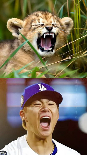 오타니의 후배 조롱! 