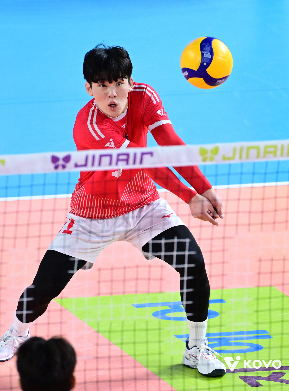 "제가 책임질게요" 룸메이트가 주장인데…21세 맞아? '아쿼' 결단 이유…