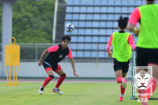 '굿이라도 해야하나' 홍명보호, 초비상! 박용우에 이어 원두재까지 이탈 …