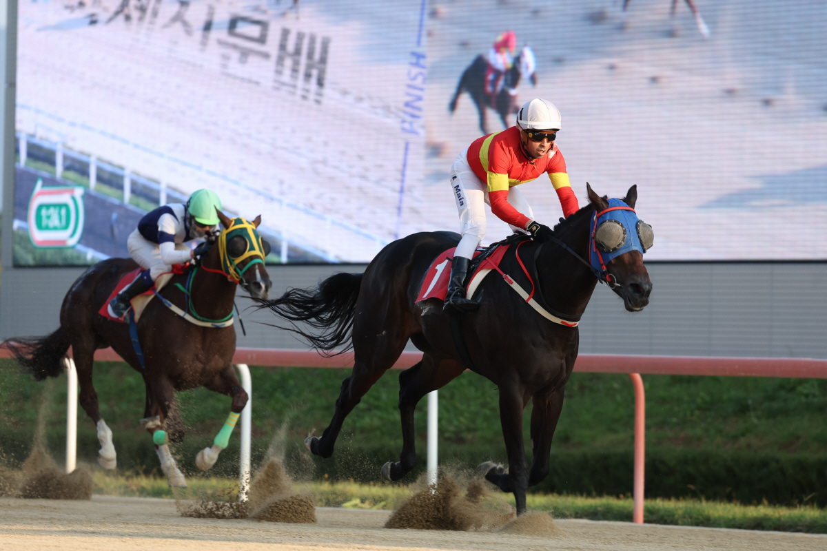[경마] 렛츠런파크 서울에서 활약하고 있는 스타 경주마는?