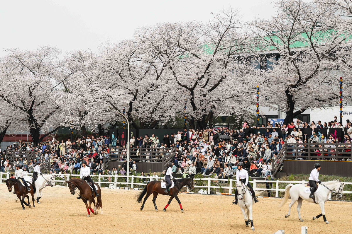 [경마] 과천시민의 일상 속 열린 공원, 렛츠런파크 서울