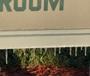 '아니 플로리다에 고드름이?' 예상 못한 이변, 그런데 대반전 일어났다[캠프 리포트]