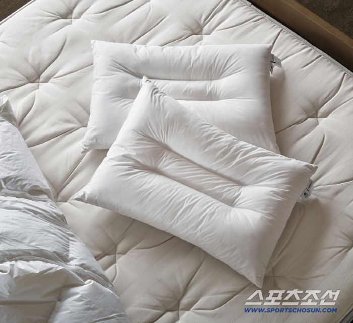 시몬스, ‘시즌브리즈 울 필로우’ 출시…프리미엄 베개 관심 속 라인업 확장