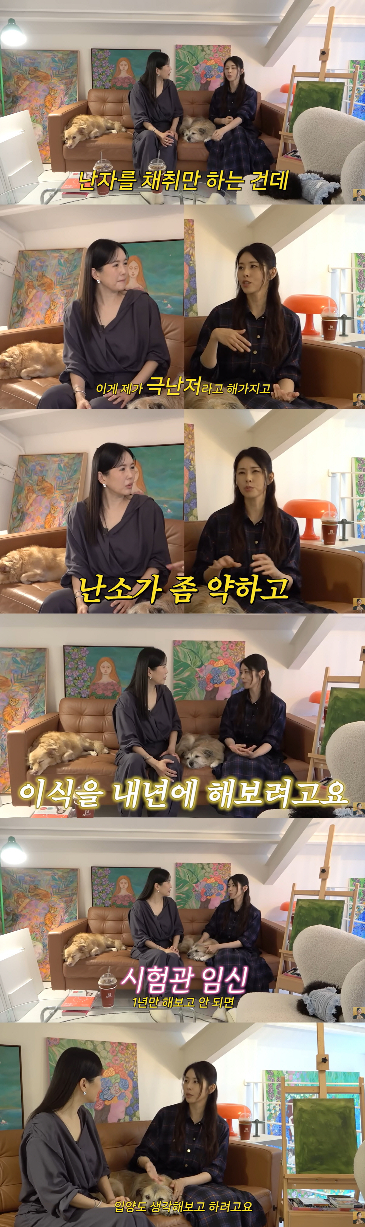 서동주, 난임 치료 중 뜻밖의 소식 "난자 채취, 이식 해보려 한다" (…