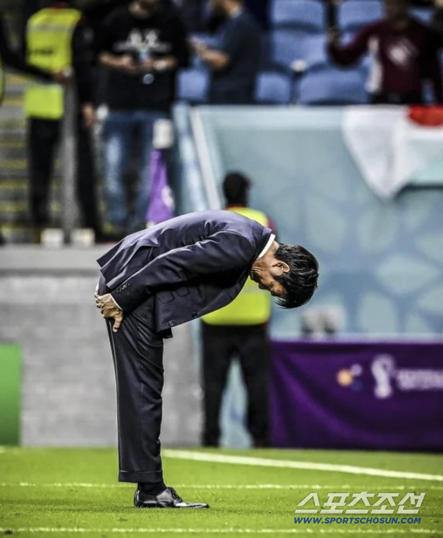 "죄송합니다, 정말 죄송합니다" 대국민 사과 다시는 없다...부상자 속출…