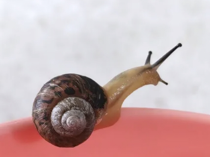 조민아, 이혼 4년만 새 가족 생겼다 "아들과 5개월째 함께 살고 있어"