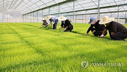 [팩트체크] 귀농인은 누구?…'50대 중반 남성 1인 가구'가 평균