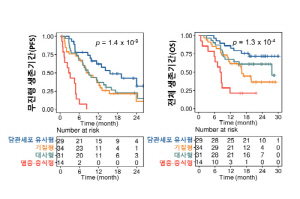 분당차병원, 담도암 '젬시아' 치료 효과 확인…맞춤 치료 가능성 열어