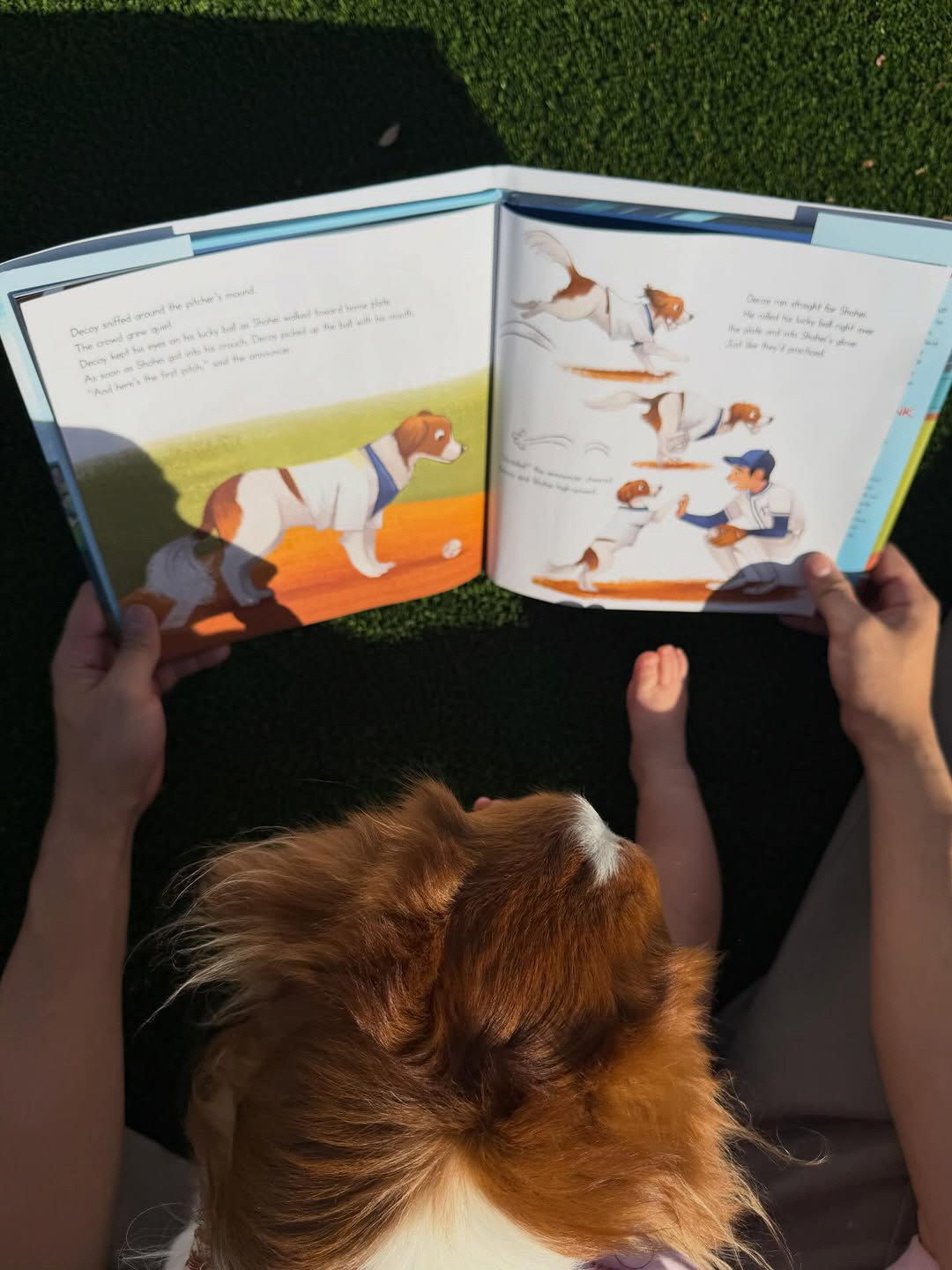 딸+반려견에게 '데코이 동화' 들려준 오타니 "많이 읽어 주세요!"…작가…