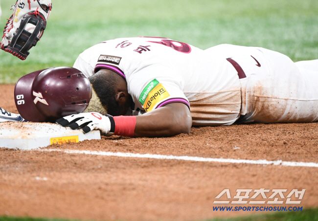 불과 1년 전, "재계약 했음 어쩔 뻔?" '유죄 평결' 야생마의 최후,…