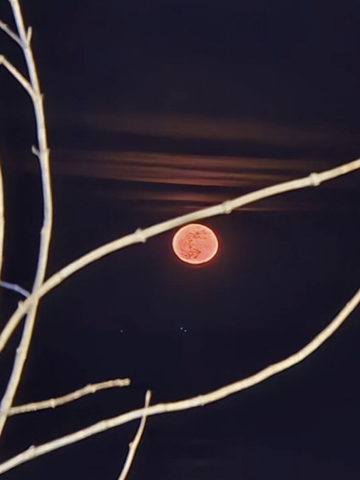 정은우 40세 돌연 사망..SNS엔 故장국영·'붉은 달' 의미심장