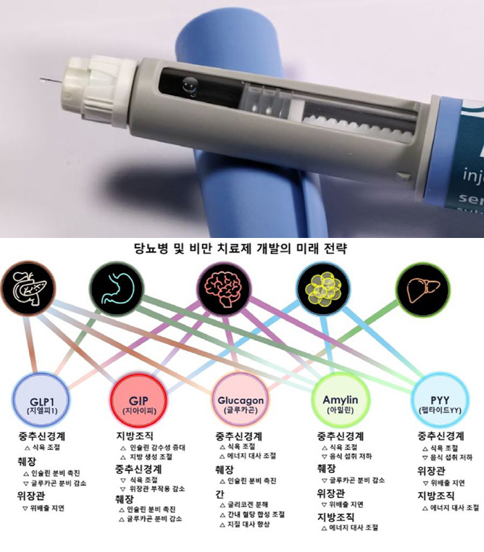 "20% 이상 체중감소 가능" 차세대 비만약 개발 전략 제시, 다만…