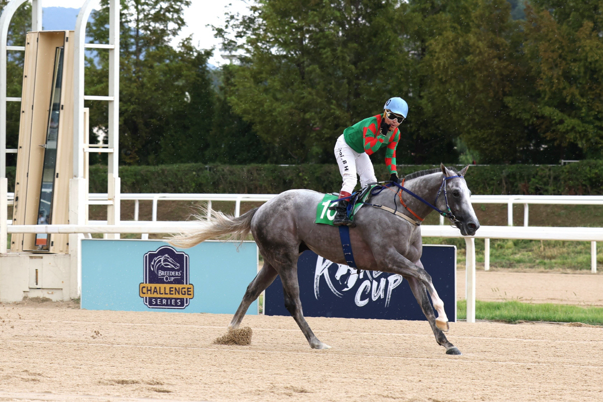 [경마]'제24회 세계일보배' 개최, 말의 해 첫 대상경주 트로피는 누구…
