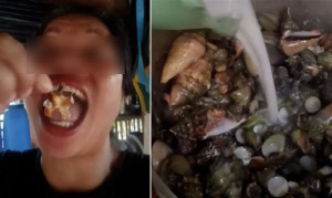 '독성' 게 먹은 인기 음식 인플루언서 숨져…