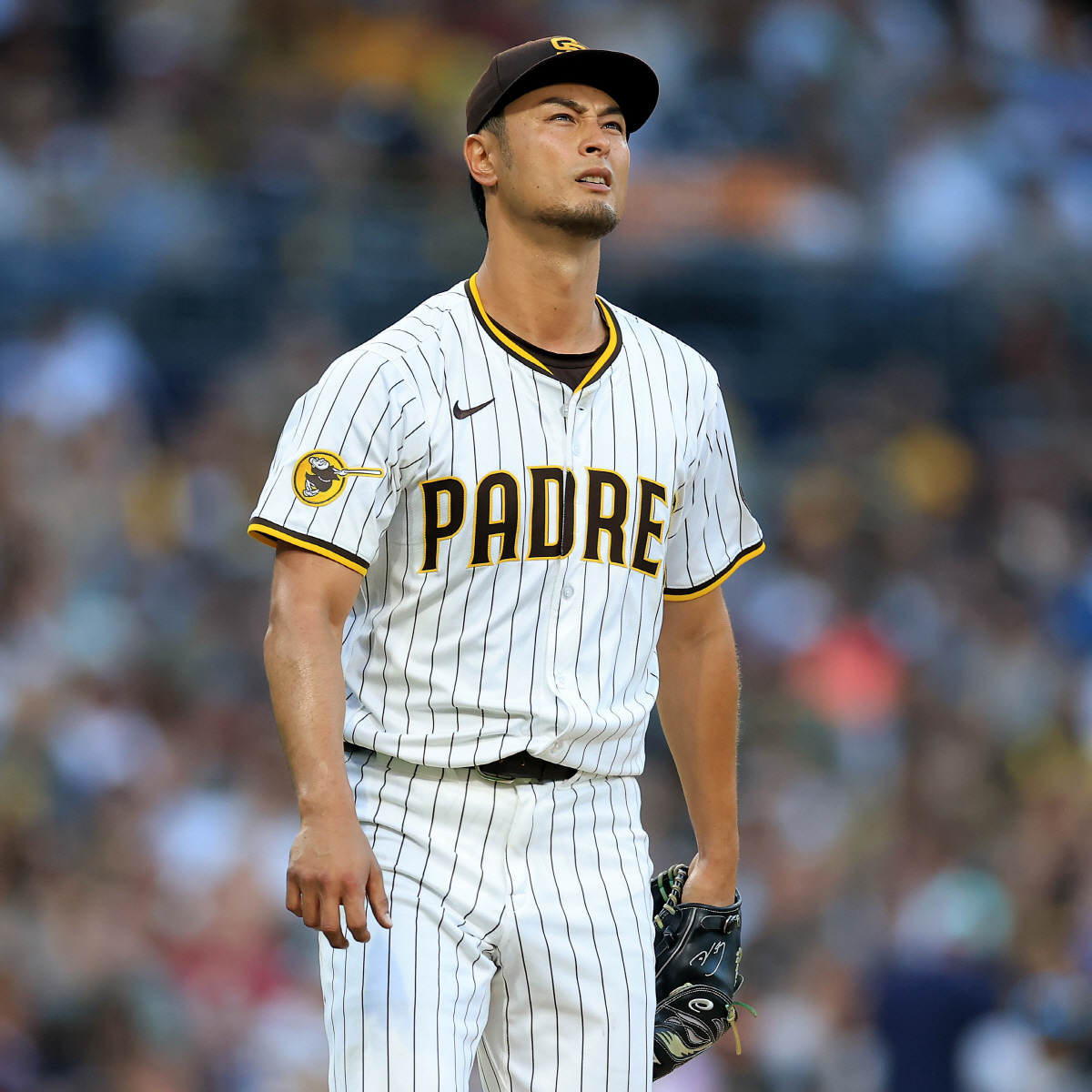 '亞 최고 투수' 다르빗슈 日 대표팀 합류→오타니와 시너지 기대…"선수 …