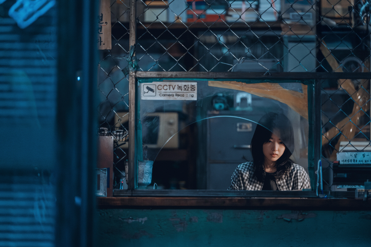 [설기획] 병오년도 '말띠퀸'의 해.."올해 특별해" 박보영·신세경·이 …