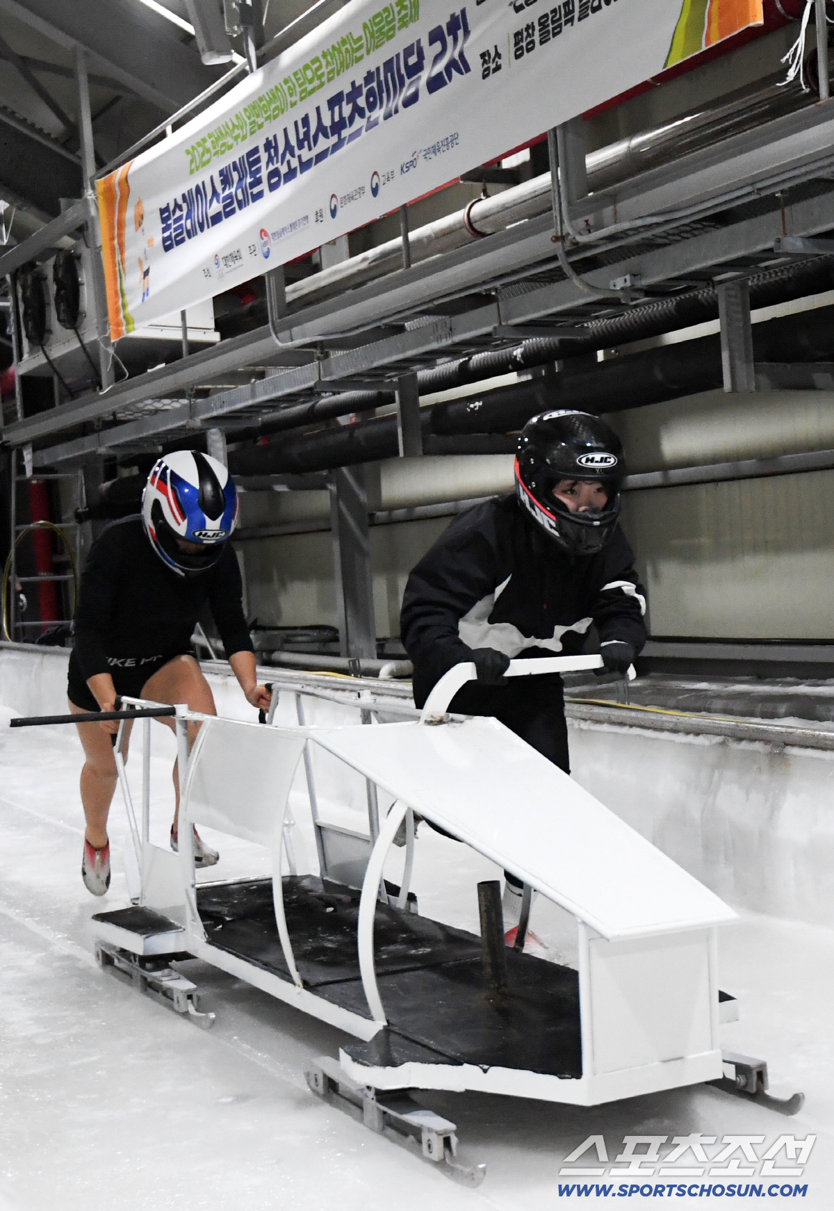"K-스켈레톤·봅슬레이 응원합니다!" 영하20도 녹인 폭풍질주...평창 …