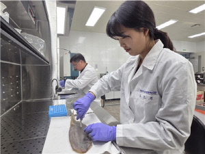 [해수분해] 빨간 양념 뒤에 숨은 오징어젓갈의 국적은