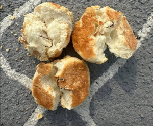 나주 반려견놀이터서 낚싯바늘 박힌 빵 발견…사실관계 조사 중