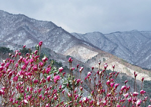 [내일날씨] 연휴 셋째 날 동해안 눈비…낮 최고 13도