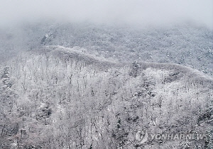 연휴 셋째 날 강원산지·동해안 많은 눈…미세먼지는 '좋음'