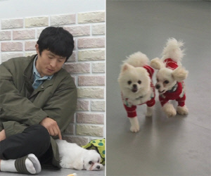 기안84, 母 위해 입양했던 유기견..확 달라진 놀라운 근황 