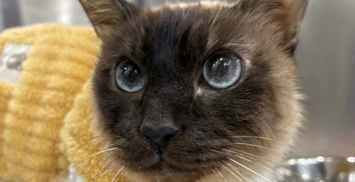 김정난, 명절 연휴에 ‘날벼락 같은 비보’..“뇌가 산산조각 난 듯”