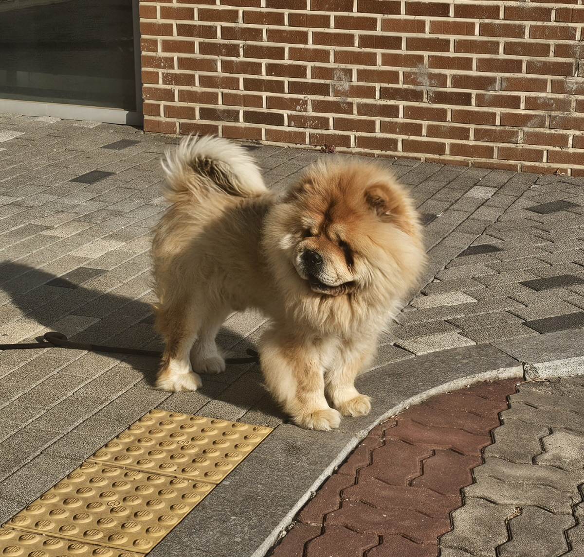 '건강함'을 깨워드립니다…"리트릿, 다시 ON(온) 장흥"