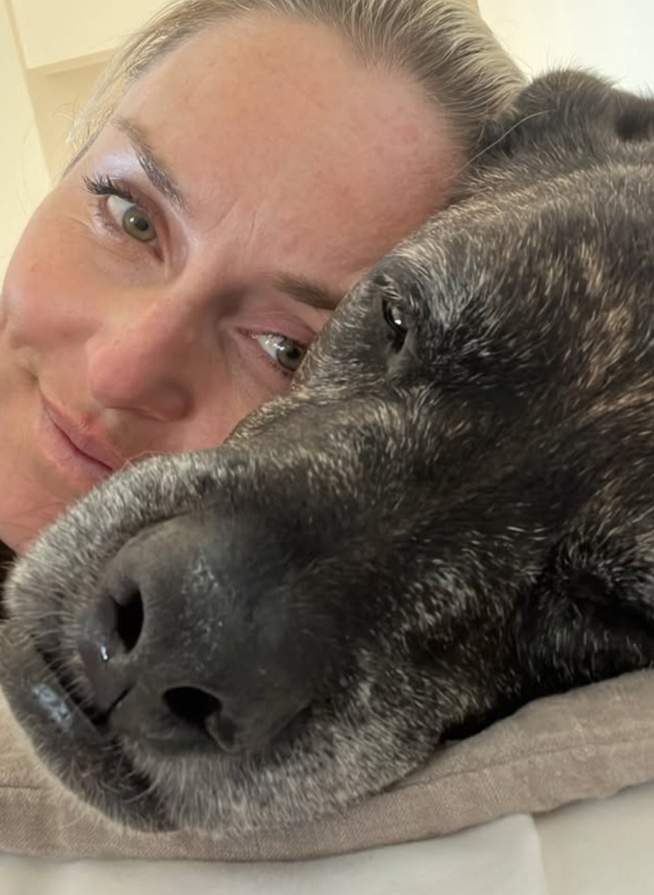 "내가 사고난 그날, 반려견도 하늘로 떠났다" '스키 여제' 린지 본의 …