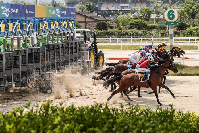 [경마] 20~22일 설 연휴 경마 휴장… 27일 경마 재개