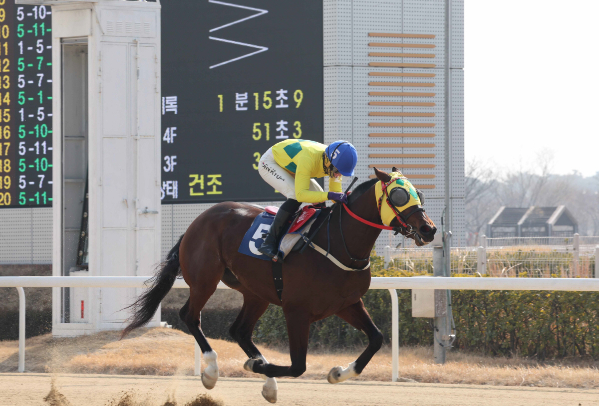 [경마]차분해서 더 강한 '강심장'진겸 기수, 통산 300승 쾌거