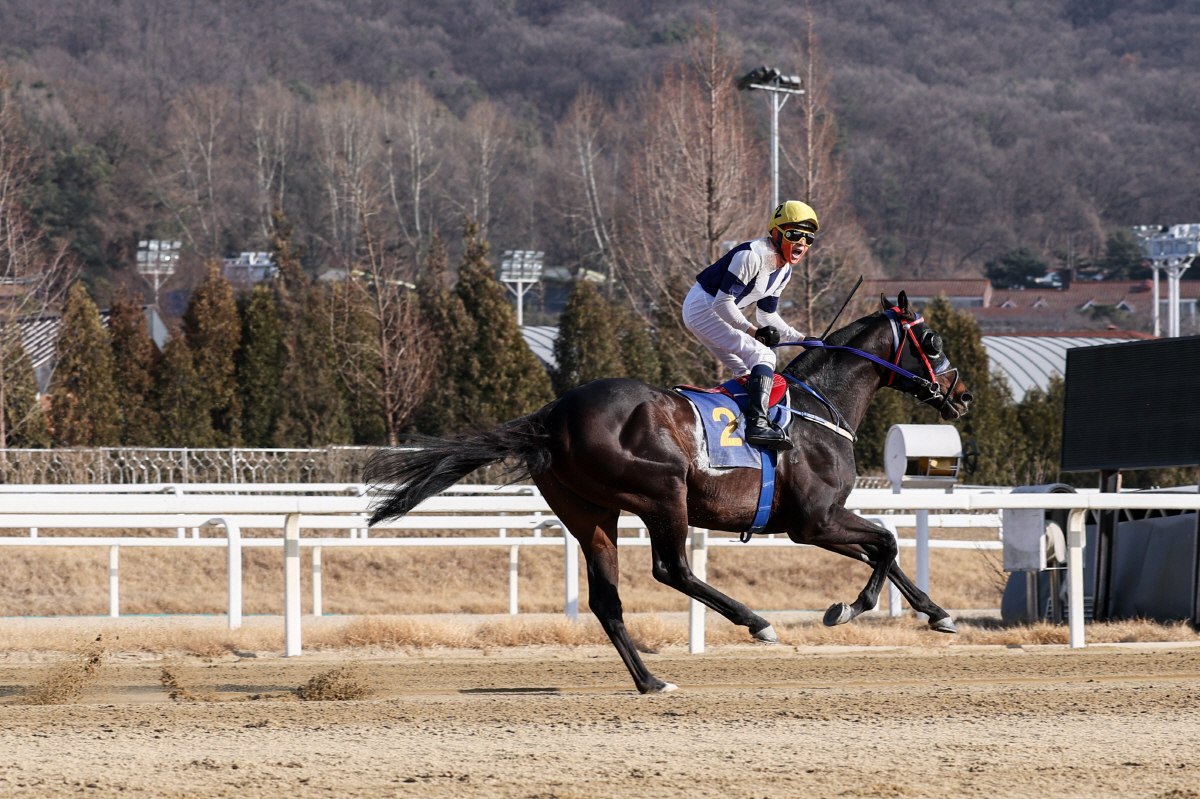 [경마] 2026년 대상경주 첫 승 주인공 '스피드영', 제24회 세계일…