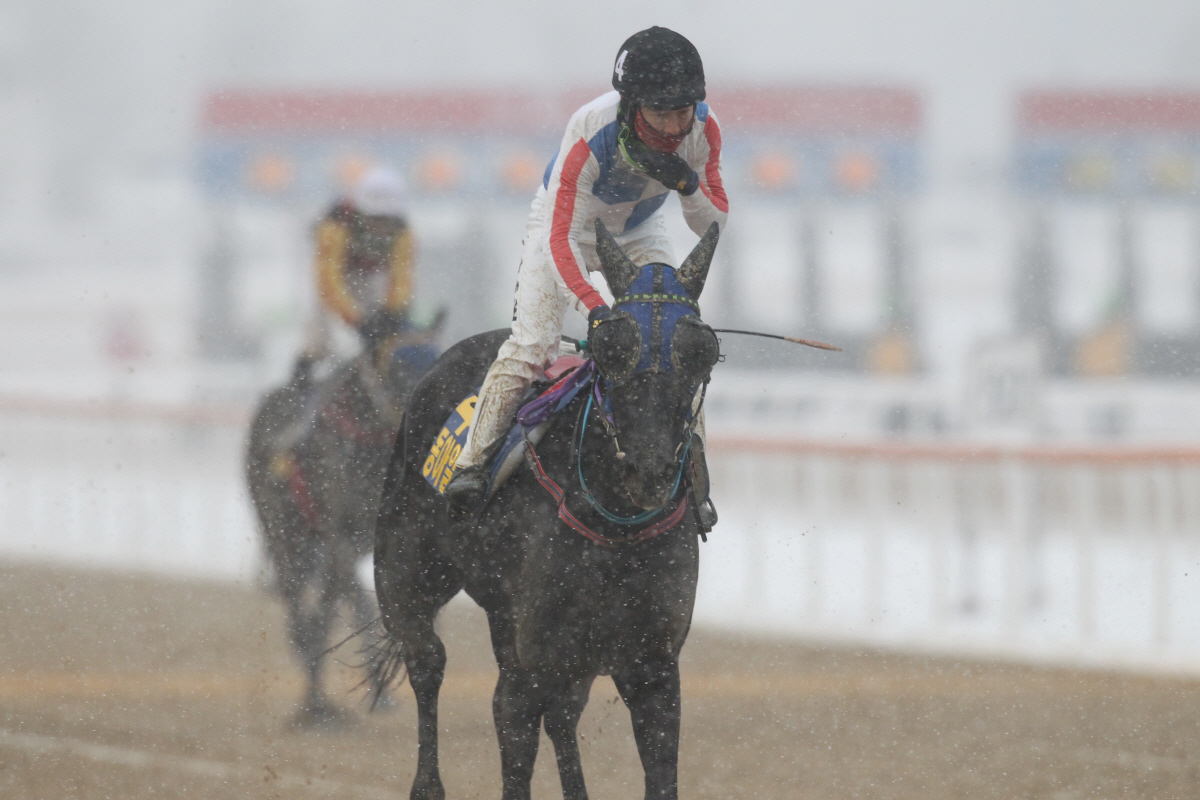[한국경마 타임캡슐] 2016년 2월 '도전의 계절'