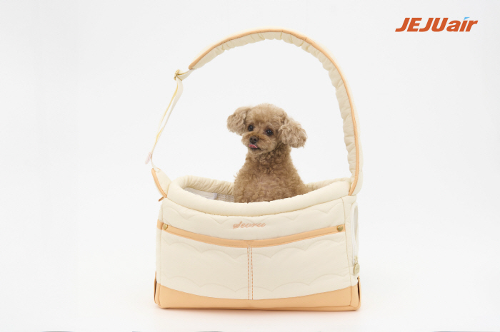 반려동물 동반 여행객 증가…제주항공 "명절·휴가 시즌 동반탑승객 최대 26% ↑"