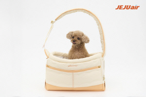 반려동물 동반 여행객 증가…제주항공 