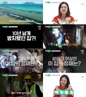 김숙, '흉가' 된 제주도 집 갈아엎는다 