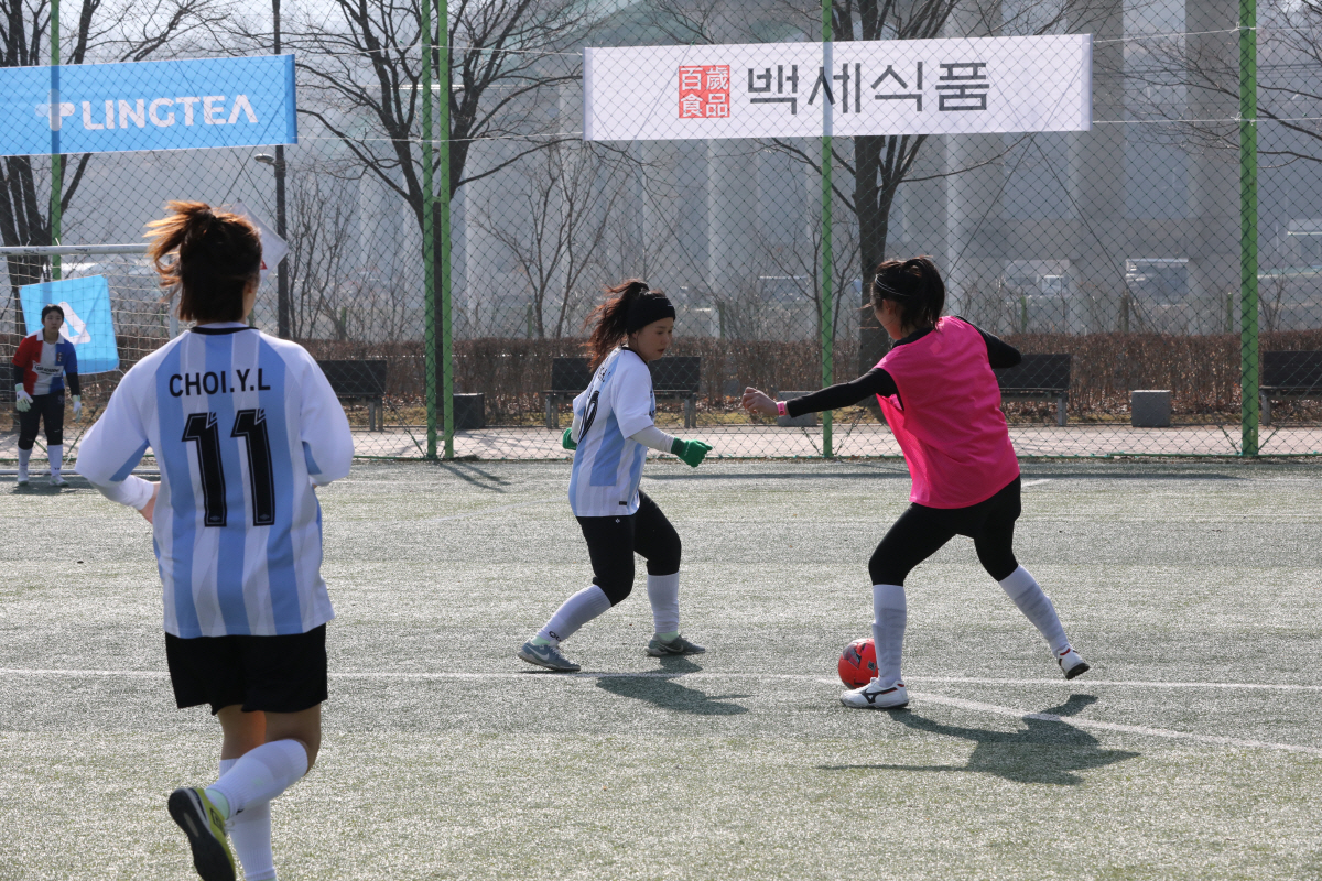 "축구 첫사랑, 영월에서" 2026 달달영월 전국 여성 축구 페스티벌 개…