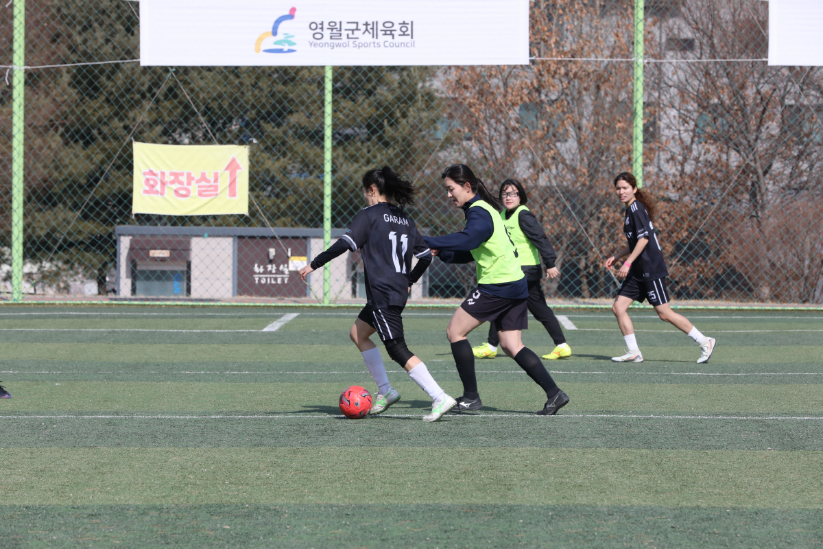 "축구 첫사랑, 영월에서" 2026 달달영월 전국 여성 축구 페스티벌 개…