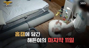 '그알' 공개한 여수 4개월 영아 홈캠 5초…의사도 오열 