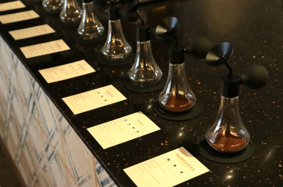 압구정 로데오에 스페셜티 커피 성지 뜬다…'힙스테틱' 25일 정식 오픈