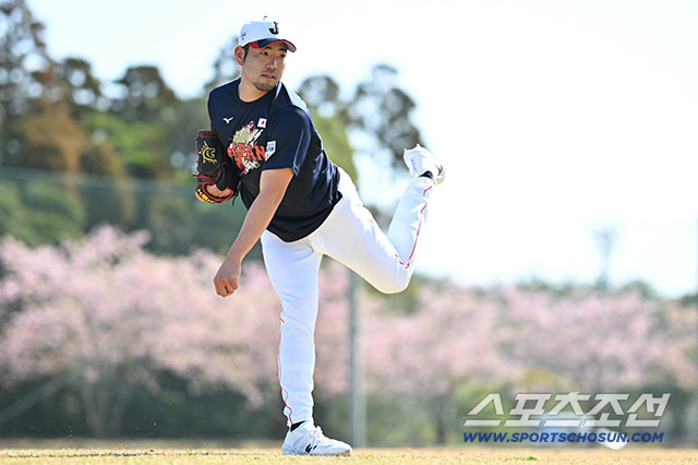미일 통산 '208승' 레전드 다르빗슈, 그가 존경하는 후배 투수가 있다…